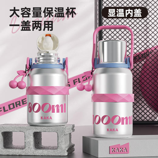 2024高颜值保温杯女大容量1000ml茶水分离户外运动水壶316不锈钢 商品图2