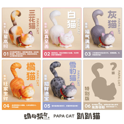 趴趴猫 手机支架模型手办潮玩 ★动物帮帮 官方正品【48小时发货】 商品图1