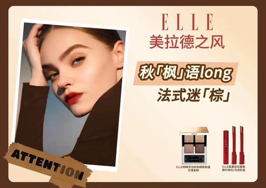 ELLE明眸灵动四色眼影粉盘 FA06-05 琉光杏茶 商品图3