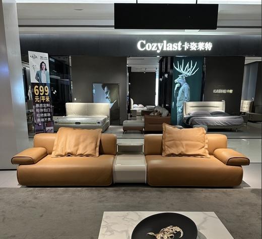 F332沙发/厚皮沙发 商品图0