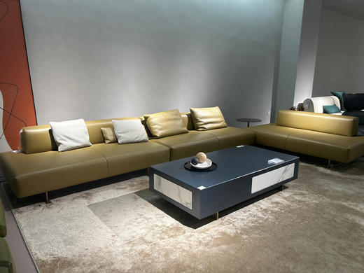 F208沙发/厚皮沙发 商品图2