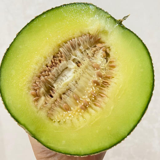 网纹瓜（约950g/个） 商品图1