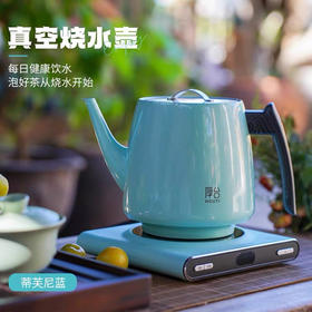 厚台蒂芙尼蓝真空泡茶专用烧水壶双层保温电热水壶