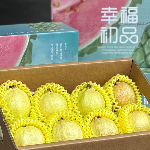 树熟美人芭乐礼盒 商品图0