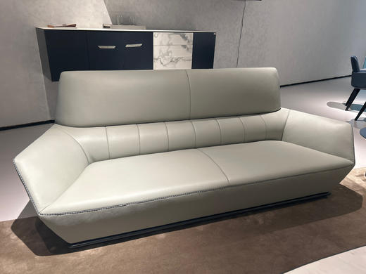 F301沙发/厚皮沙发 商品图1