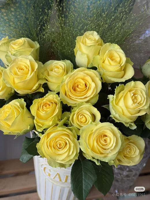 【昆明玫瑰】浪漫沙滩 20支 A级 商品图0