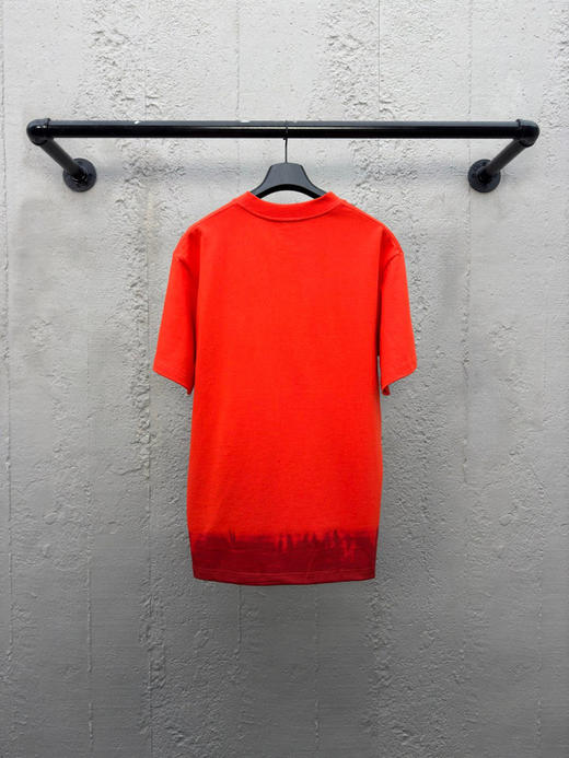 DIOR 蛇年限定贴布刺绣短袖 商品图1