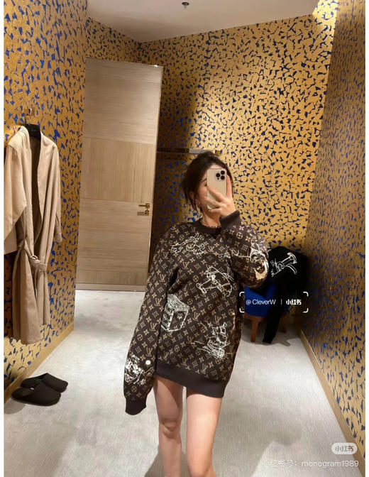 LOUIS VUITTON 老花涂鸦刺绣毛衣 商品图6