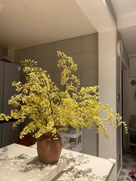 同城甄选鲜切枝条山胡椒1扎