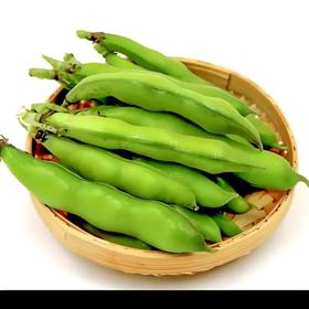 带壳蚕豆 500g/盒