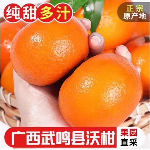 洽鲜果 广西武鸣沃柑新鲜现摘 19.9元/9斤 当季沃柑 商品图0