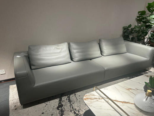 F309沙发/皮沙发 商品图0