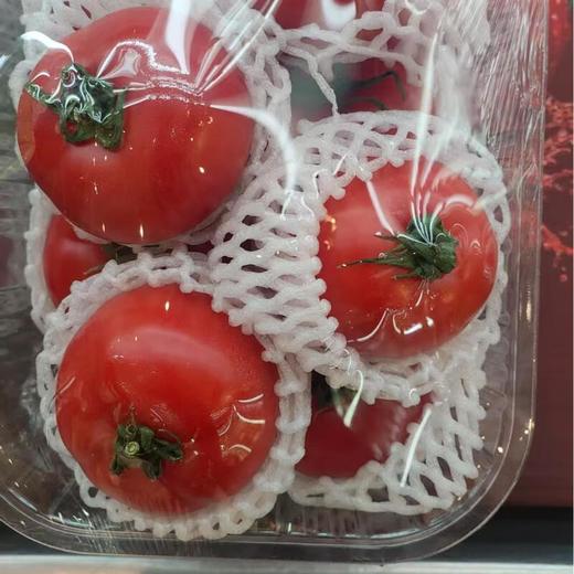 嘉红100西红柿 600g/份 商品图0