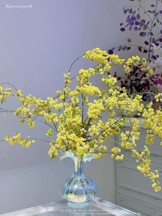 同城甄选鲜切枝条山胡椒1扎 商品图4