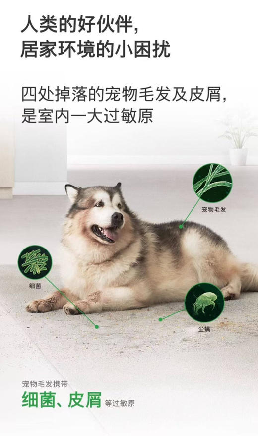 吸尘器。V15 商品图11