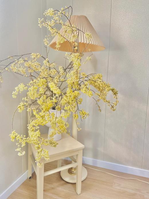 同城甄选鲜切枝条山胡椒1扎 商品图2