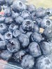 云南蓝莓（单果18mm+) 商品缩略图2
