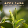 澜沧古茶2024年古木早春（10年陈）云南普洱茶生茶大饼345g 商品缩略图1