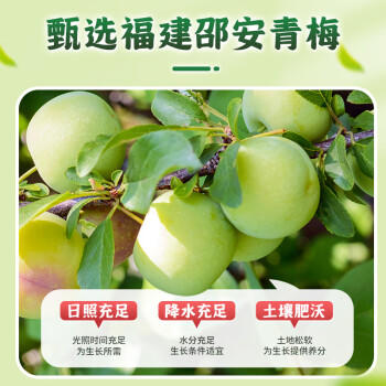 华味亨正宗话梅270g/罐酸甜咸梅蜜饯果干果脯休闲办公室零食泡水解腻 /休闲食品 /蜜饯果干 /梅子干 商品图2