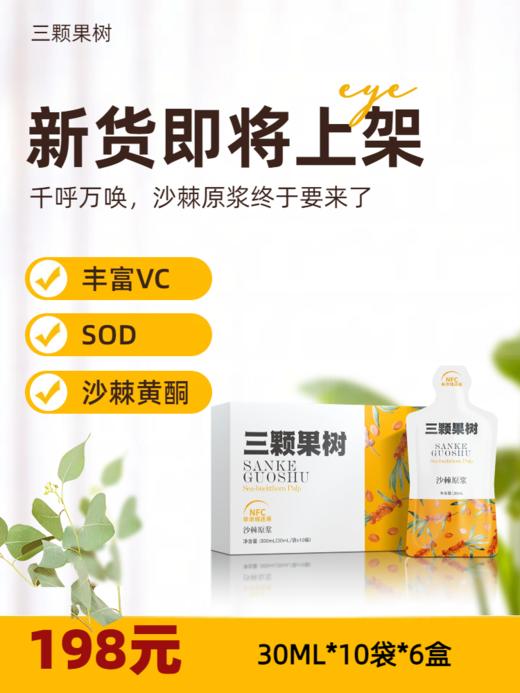 【新货上架】【预售中】沙棘原浆30ML*10袋*6盒 商品图0