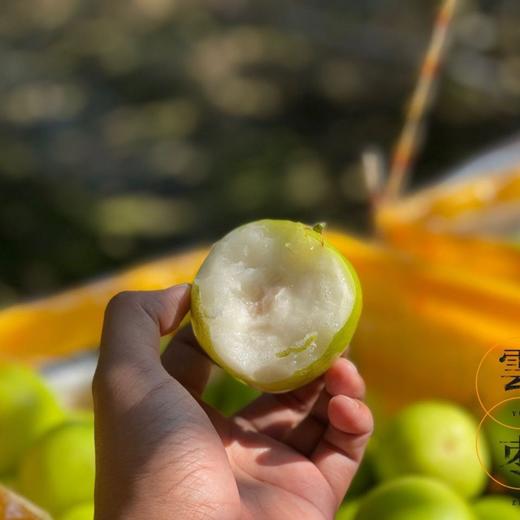 【新年好礼】石家庄优选仓库速达 西双版纳·雲枣 口感独特，甜度高，化渣好，香气浓水分足 礼盒装4斤（16/18/20 枚随机） 商品图4