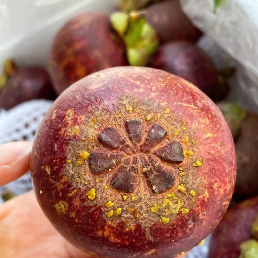 【顺丰快递】泰国进口山竹 新鲜水果 热带时令水果 - CJYD 商品图10