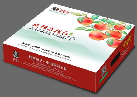 地理标志产品 正宗陕西旬邑马栏红红富士苹果礼盒装  陕西旬邑—中国苹果之乡 自然生长不打蜡香甜多汁皮薄肉脆 商品图4