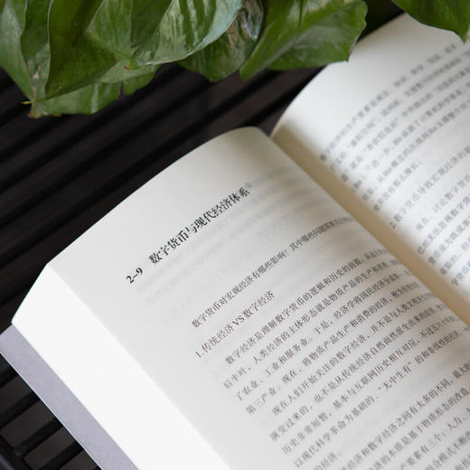 朱嘉明《未来决定现在》 商品图2