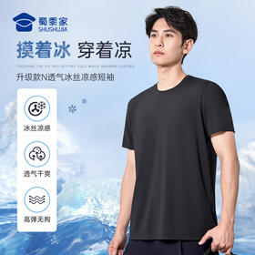 【实付满399送保温杯】【升级款N透气冰丝凉感短袖T恤】通勤休闲圆领短袖 散热排汗运动半袖T恤TZ501