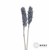 永生花 | 高梁灰色 商品缩略图2