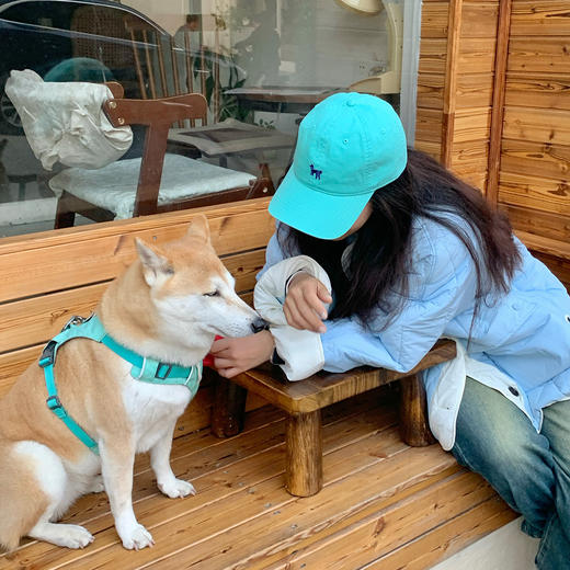 双成记 小狗盼盼软顶鸭舌帽棒球帽明星同款 商品图1