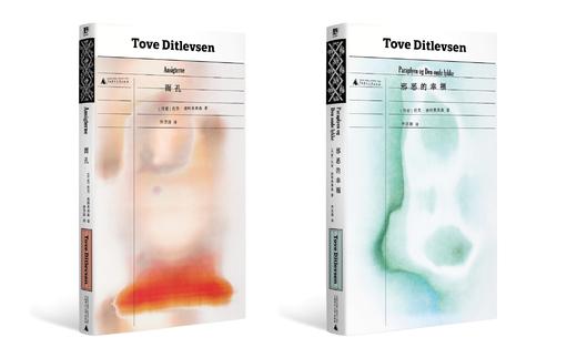 面孔（《哥本哈根三部曲》作者托芙·迪特莱弗森长篇代表作，理智地描摹疯狂，疏离地评估澎湃的情感：一位精神崩溃的女作家自我救赎的心灵之旅）译者：徐芳园 商品图4