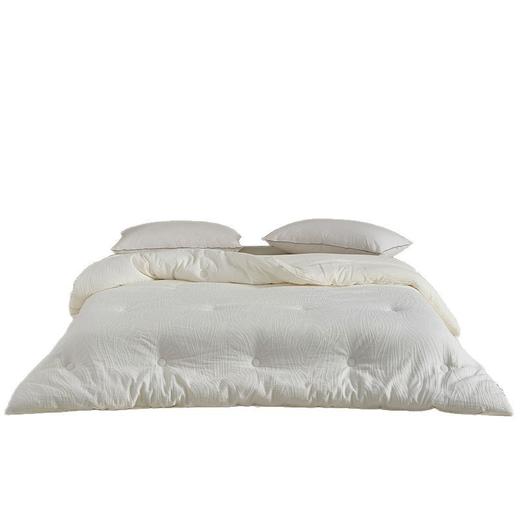 【A类大豆提花暗纹四季被】A类提花大豆纤维被芯柔软被子纯色暗纹被四季被冬被 商品图5