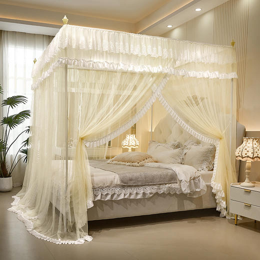 自然醒花边宫廷落地蚊帐加密公主风三开门防尘卧室家用纹账结婚蚊帐婚房蚊帐2503HH 商品图2