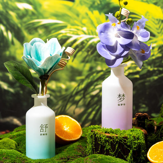 怡妮诗似梦华无火藤条香氛150ml（241230） 商品图8
