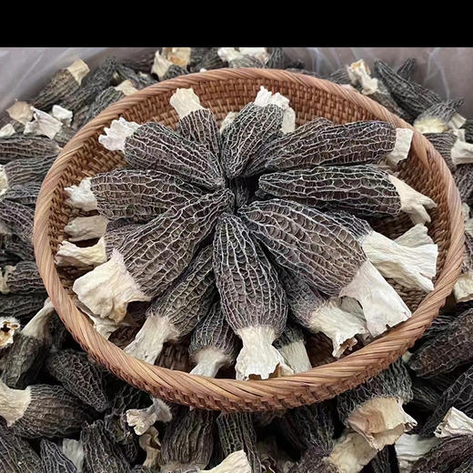 【干羊肚菌】来自青川毛寨自然保护区的山珍菌菇 肉质更厚  香味鲜甜浓郁（每个7~13cm以上） 商品图13