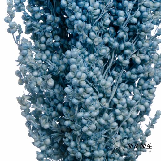 永生花 | 高梁天蓝 商品图3