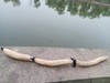 小清新鲜鲜九孔白莲藕、红花细藕（超粉老白莲藕）无农化自然生长，口感清甜，煮汤味美。自制纯藕粉 ，无添加，配料只有莲藕，天然藕清香！ 商品缩略图11