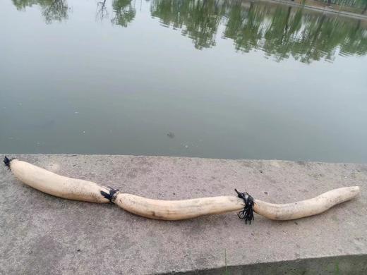 小清新鲜鲜九孔白莲藕、红花细藕（超粉老白莲藕）无农化自然生长，口感清甜，煮汤味美。自制纯藕粉 ，无添加，配料只有莲藕，天然藕清香！ 商品图11