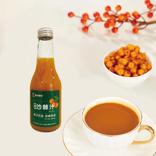 敖优峰味 蜂蜜沙棘汁235ml*6【XPTX】 商品图1
