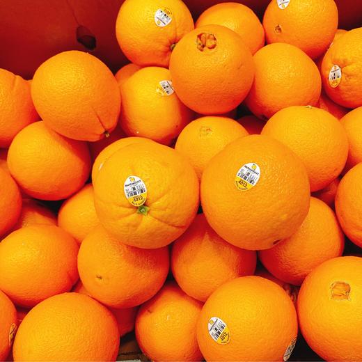 美国阳光脐橙4012 | 进口水果 商品图0