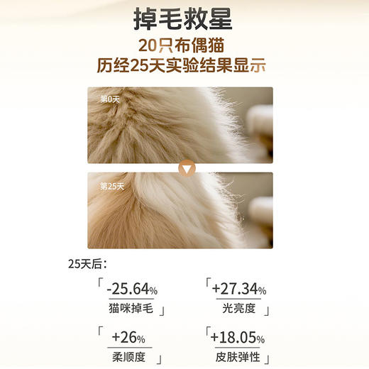 活力泰功能日粮低敏美毛猫粮美毛亮毛护肤布偶幼猫全价成猫2kg 商品图1