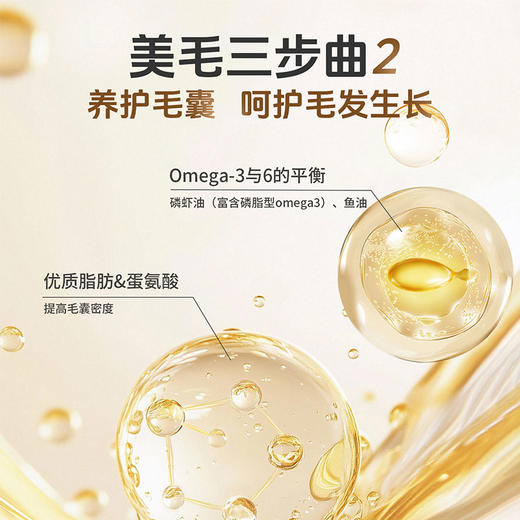 活力泰功能日粮低敏美毛狗粮比熊柯基博美柴犬通用型犬粮2kg 商品图3