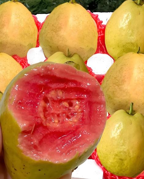 奶油草莓红心芭乐 商品图0