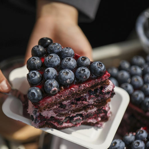 蓝莓多多【可可胚＋蓝莓奶油】 商品图4