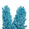 永生花 | 高梁尼蓝 商品缩略图1