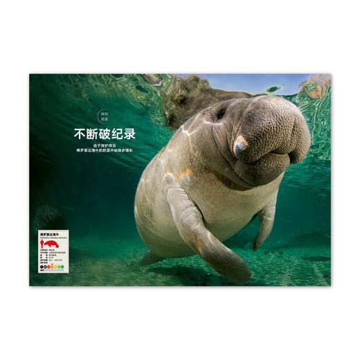 动物志06《比人更聪明》WOA 商品图1