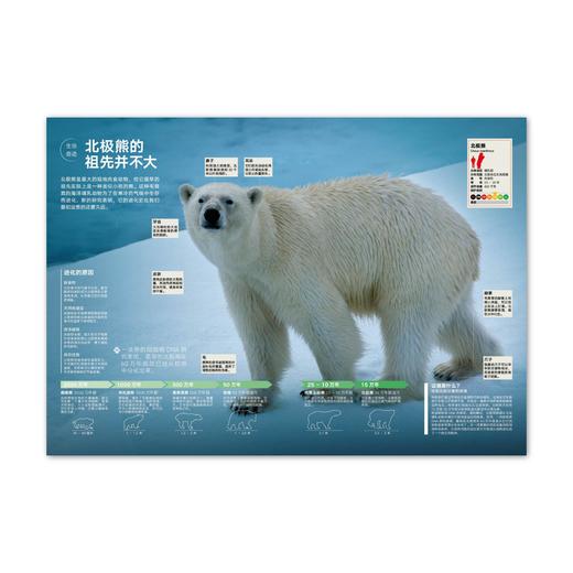 动物志06《比人更聪明》WOA 商品图3