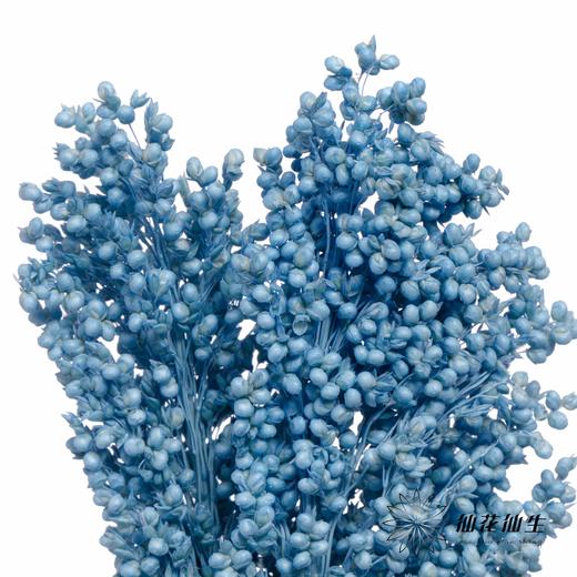 永生花 | 高梁天蓝 商品图1