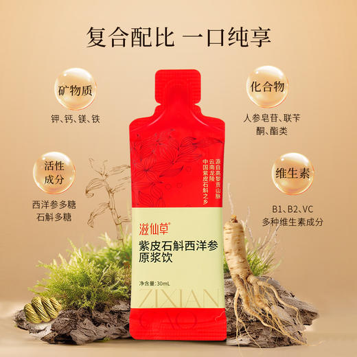 【新品上新】紫皮石斛西洋参原浆饮1提14条 商品图5